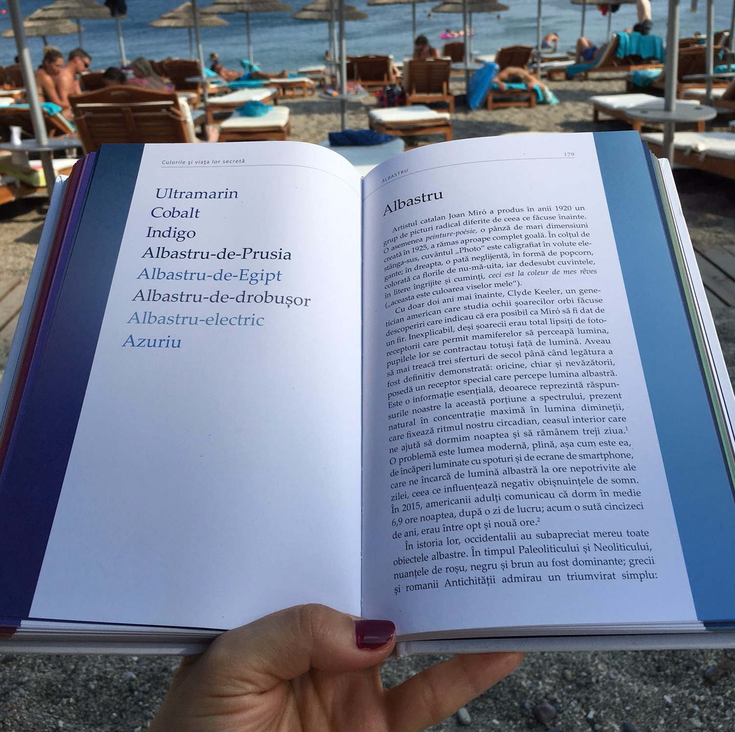 readers high tea secret lives of colour