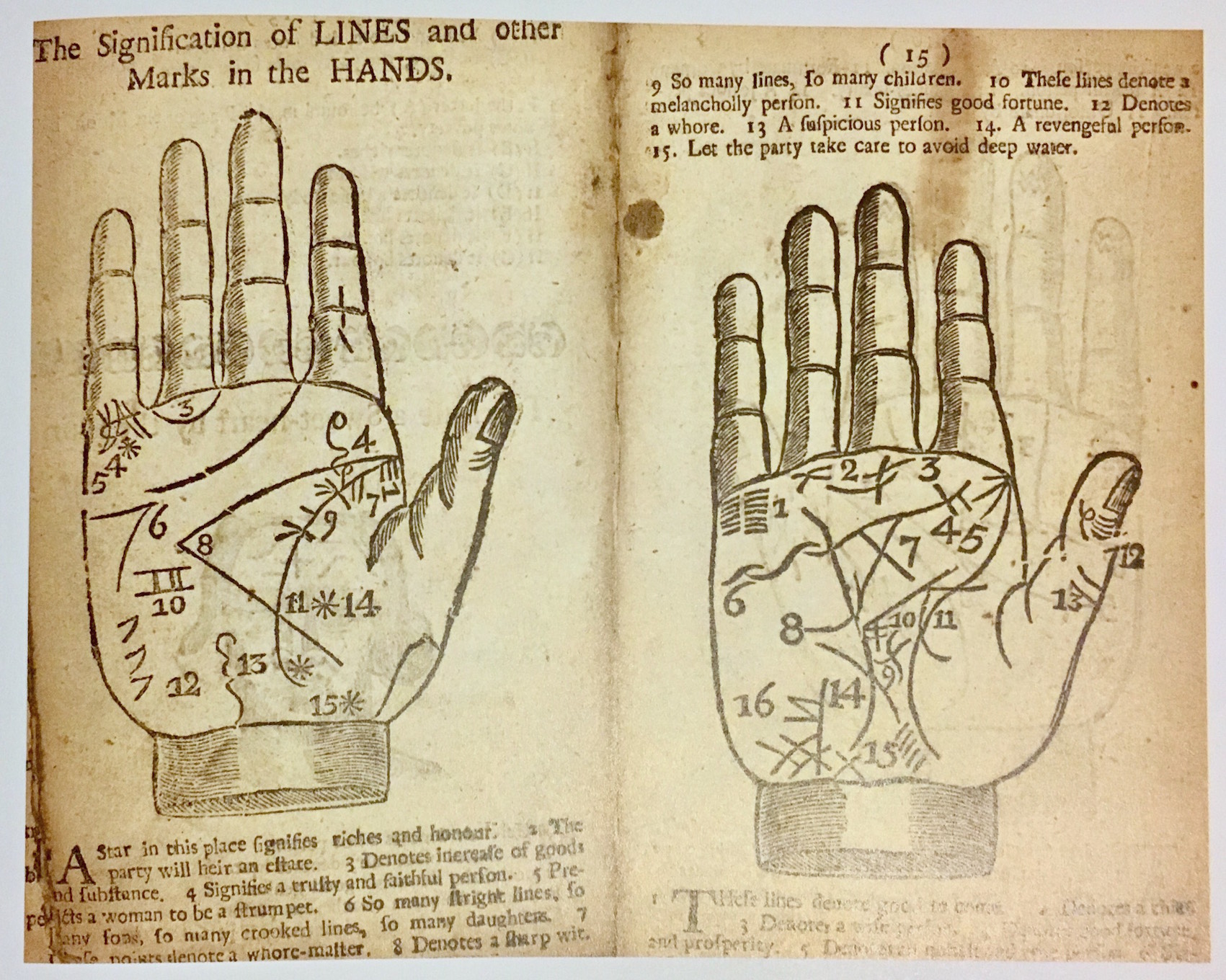 harry potter history of magic readers high tea