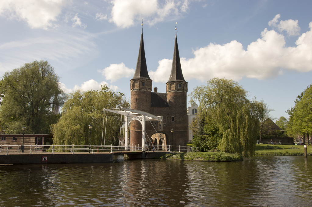 delft readers high tea