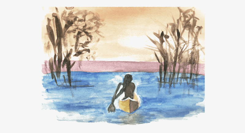 Illustration of Where The Crawdads Sing by Delia Owens