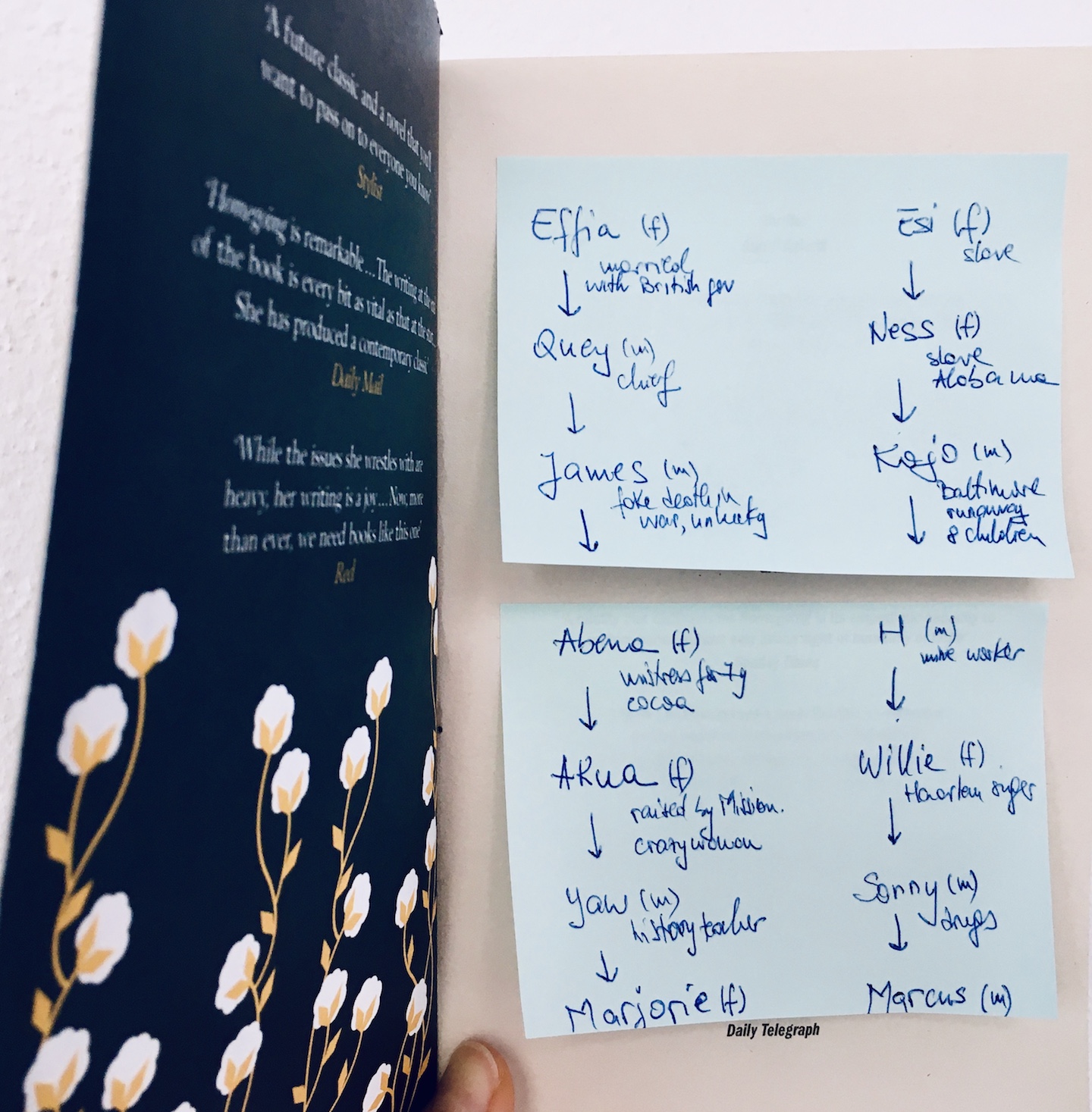 homegoing yaa gyasi notes readers high tea